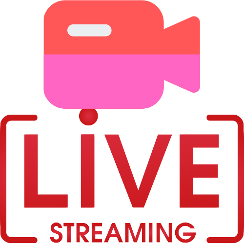 Dutch Live Cams
